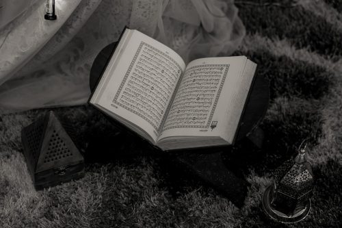 NVD_288010